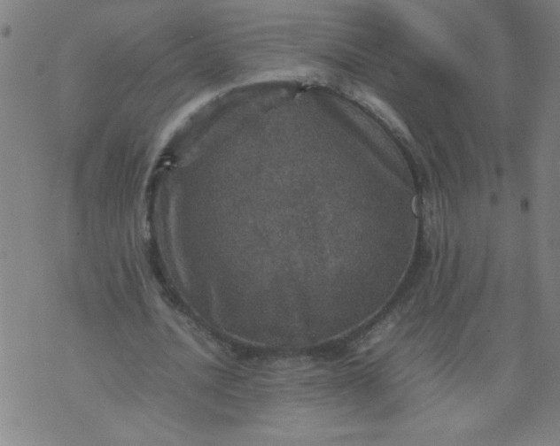 X0000070410628200606231829