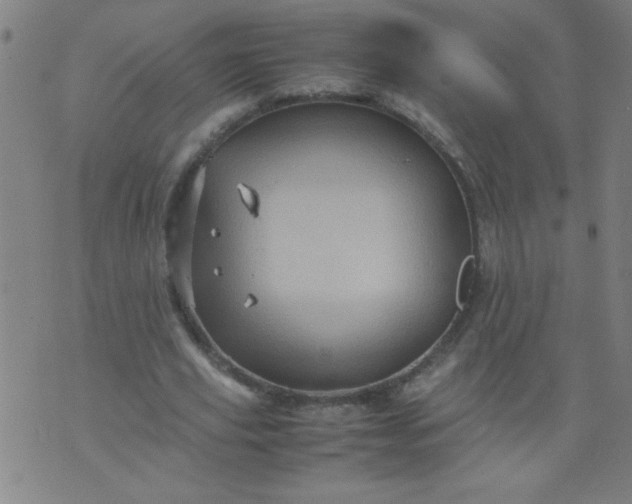 X0000070410629200606231829