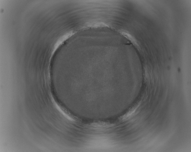 X0000070410630200606231829