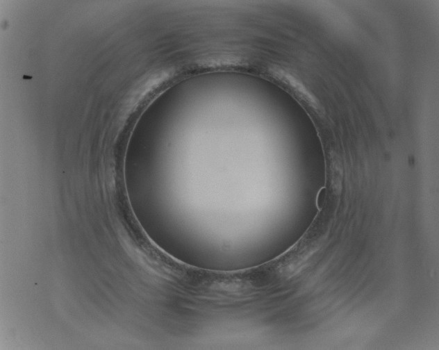 X0000070410631200606231829