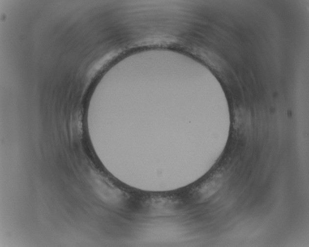 X0000070410632200606231829