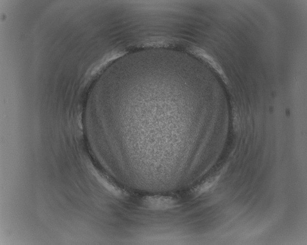 X0000070410633200606231829