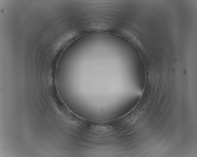 X0000070410635200606231829