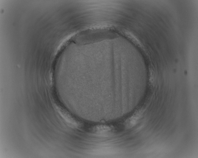 X0000070410636200606231829