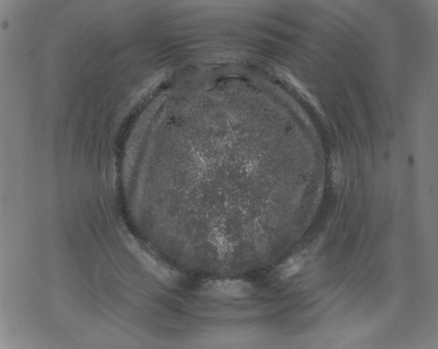 X0000070410637200606231829