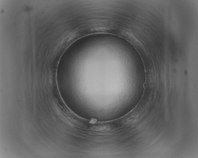 X0000070410639200606231829