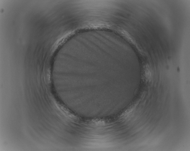 X0000070410640200606231829