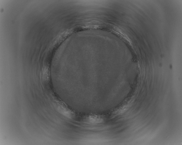 X0000070410641200606231829