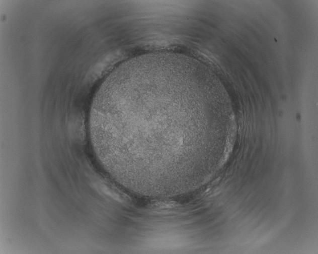 X0000070410642200606231829