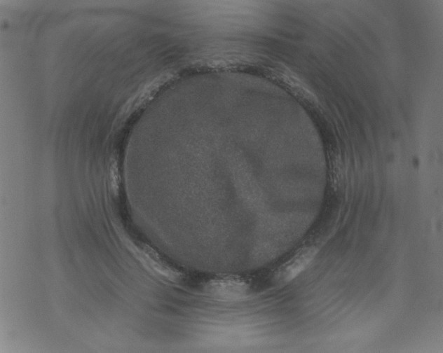 X0000070410644200606231829