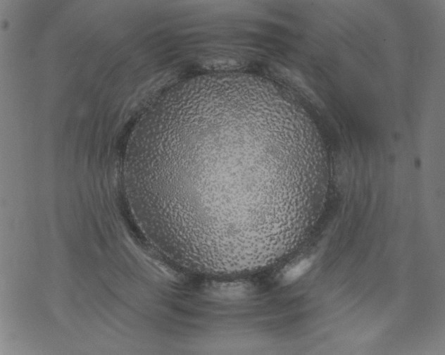 X0000070410645200606231829