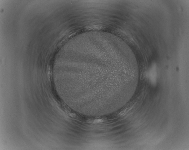 X0000070410647200606231829