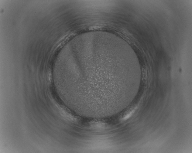 X0000070410648200606231829