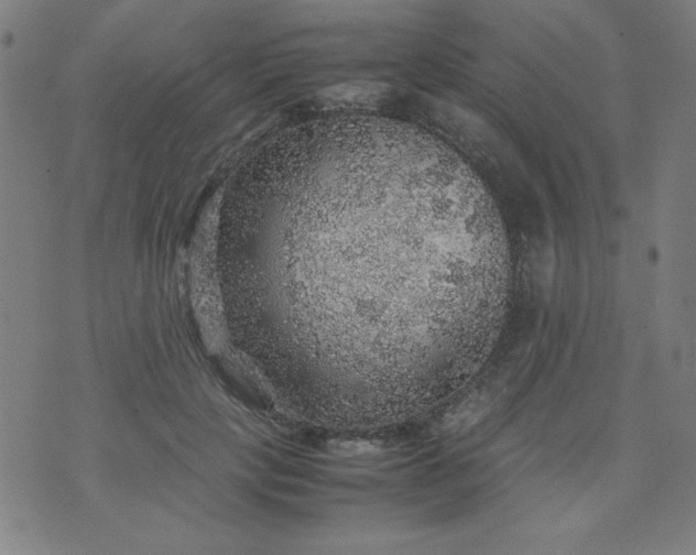 X0000070410649200606231829