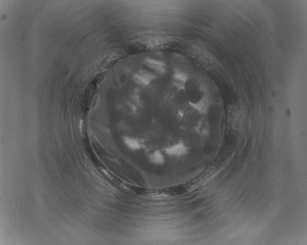 X0000070410650200606231829