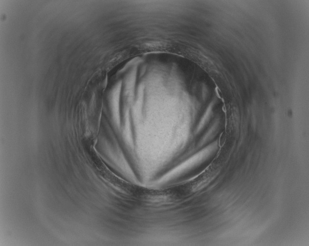 X0000070410651200606231829