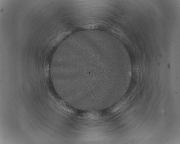 X0000070410652200606231829