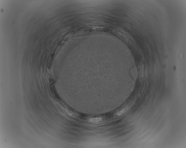 X0000070410653200606231829