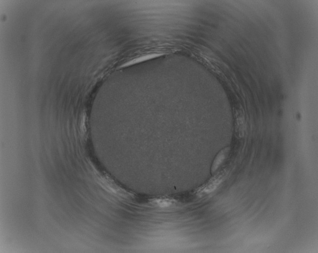 X0000070410654200606231829