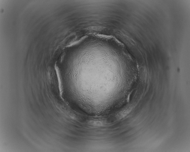 X0000070410655200606231829