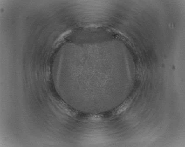 X0000070410656200606231829