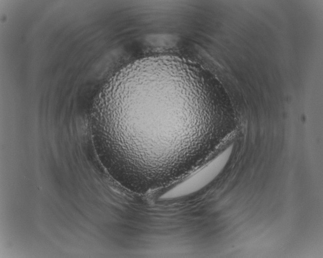 X0000070410657200606231829