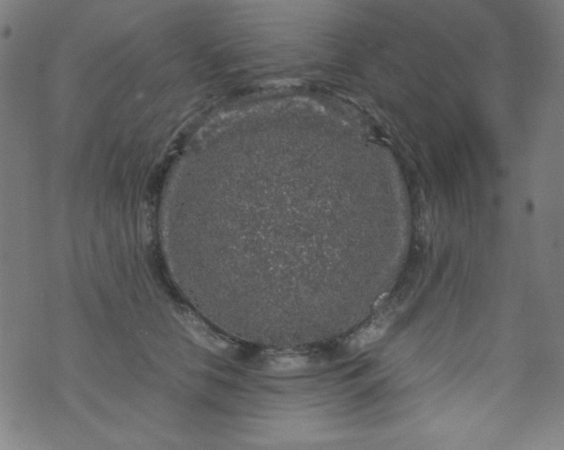 X0000070410658200606231829