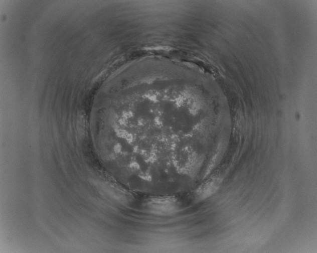 X0000070410659200606231829