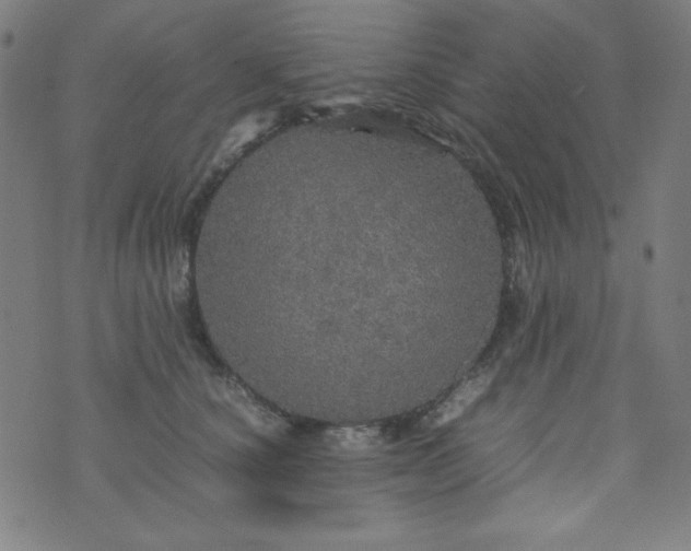 X0000070410660200606231829