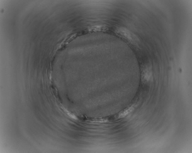 X0000070410661200606231829