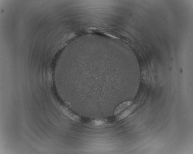 X0000070410662200606231829