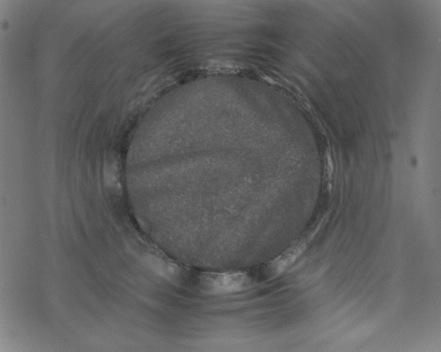 X0000070410663200606231829