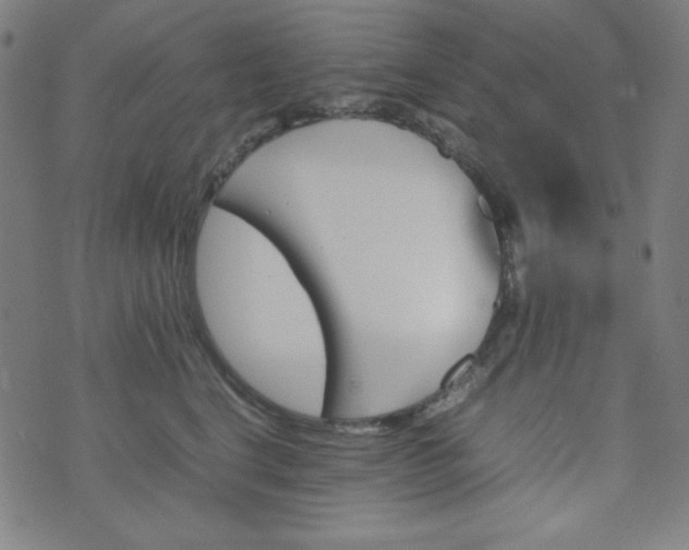 X0000070410664200606231829