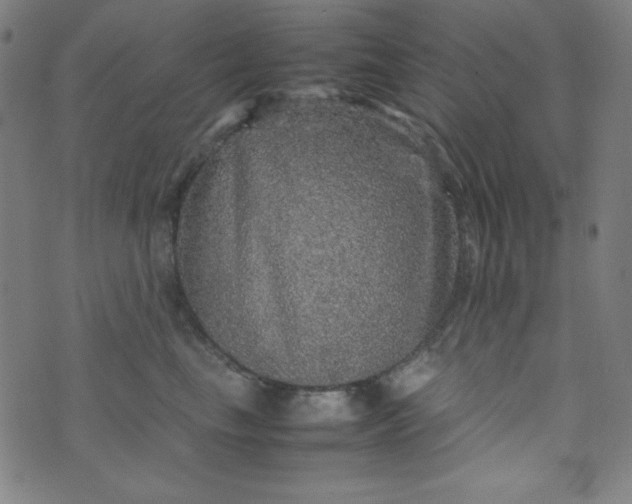 X0000070410665200606231829