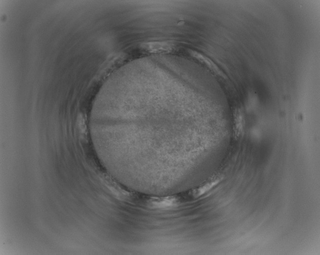 X0000070410667200606231829