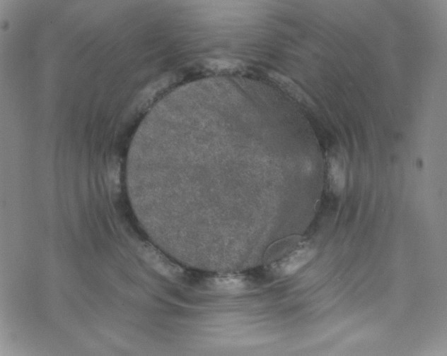 X0000070410668200606231829