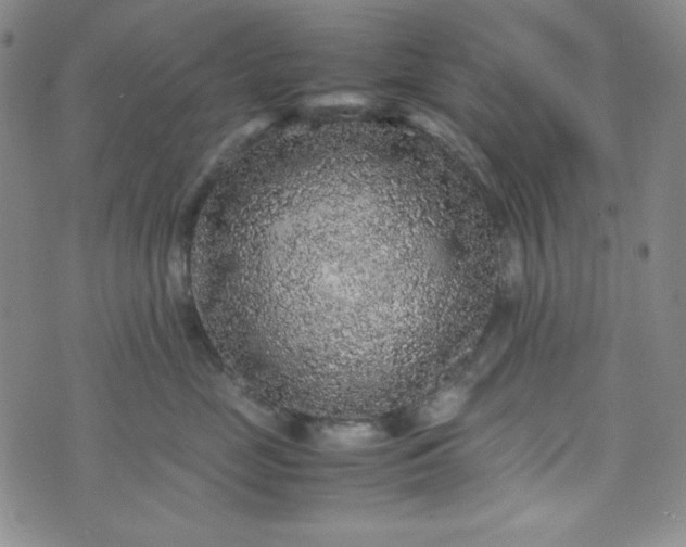 X0000070410669200606231829