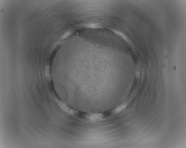 X0000070410670200606231829