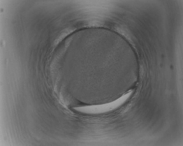 X0000070410673200606231829