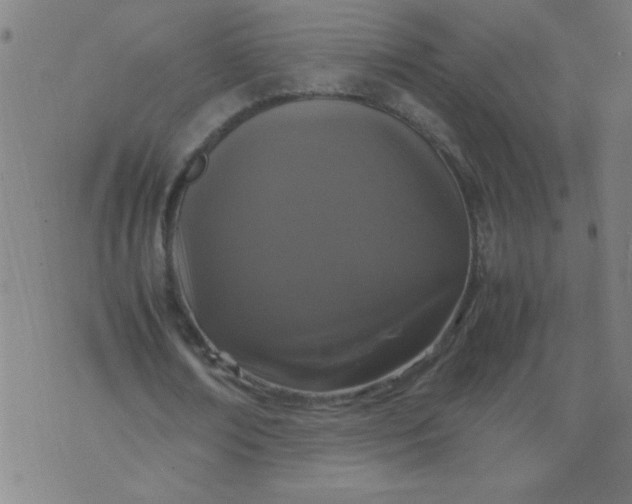 X0000070410674200606231829