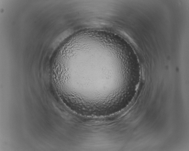 X0000070410675200606231829