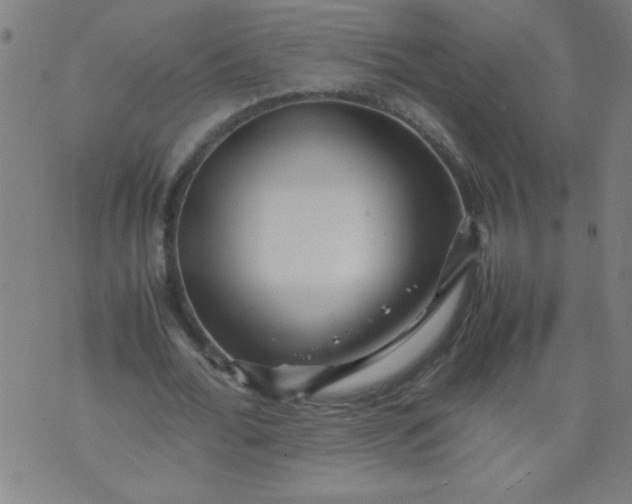 X0000070410676200606231829