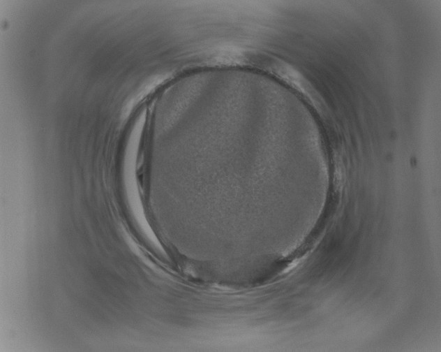 X0000070410677200606231829