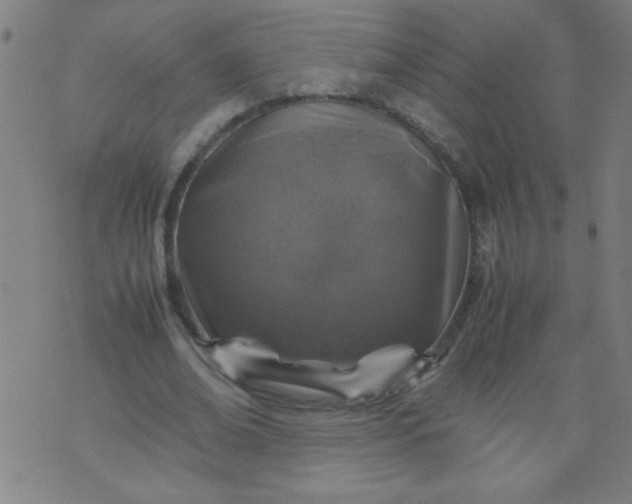 X0000070410678200606231829