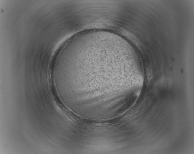 X0000070410680200606231829