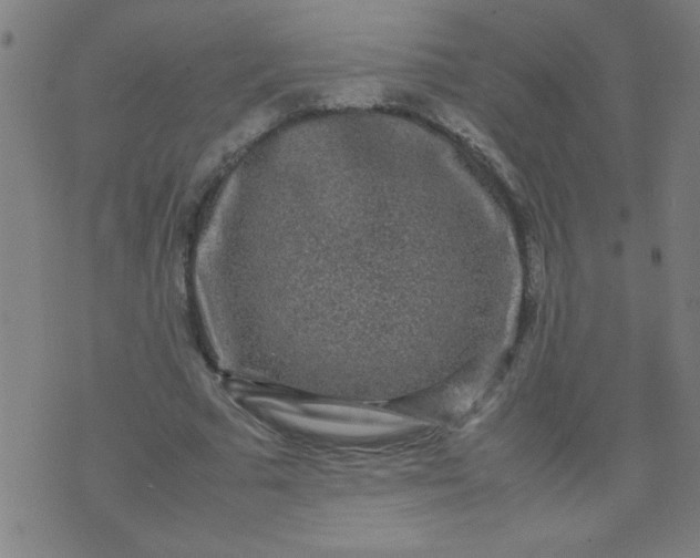 X0000070410681200606231829