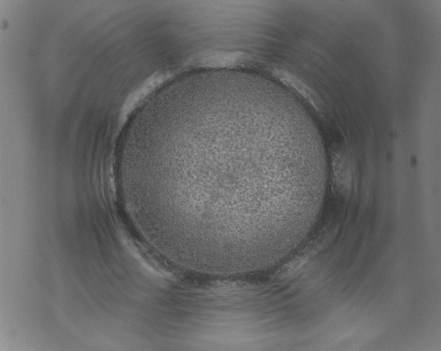 X0000070410682200606231829