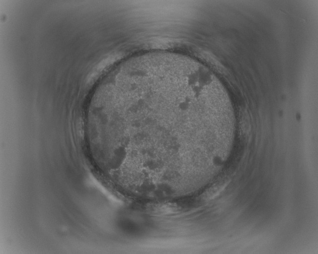 X0000070410683200606231828