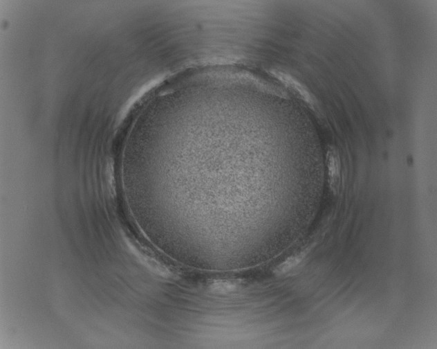 X0000070410684200606231828