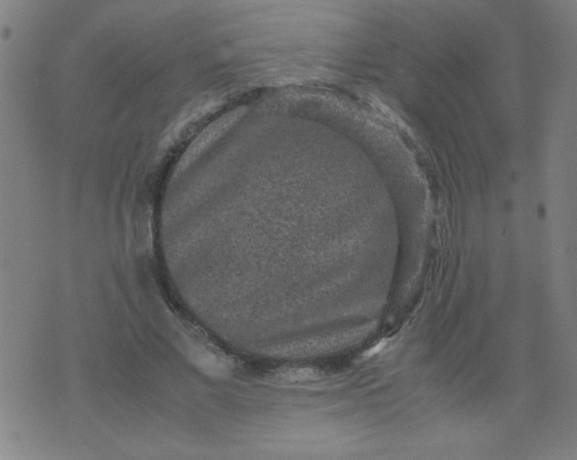 X0000070410685200606231828